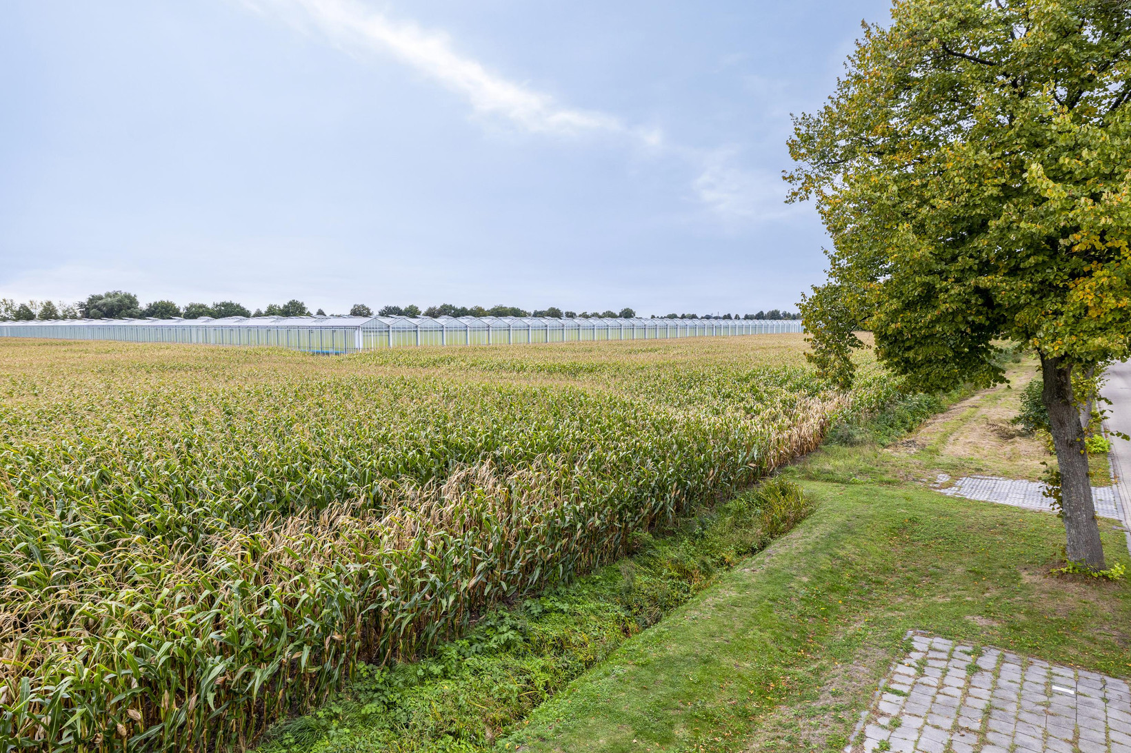 Hoekwoning te koop: Meester Janssenweg 17E, Dongen