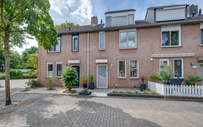 Bongelakker 19