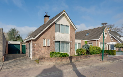 Korenbloem 13