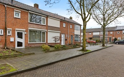 Wijnruitstraat 31