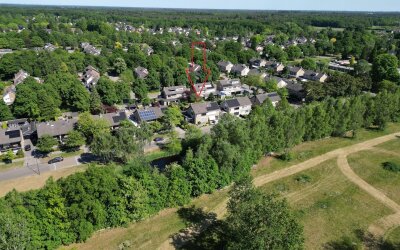 Hollandsingel 25