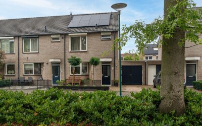 Koekoek 25