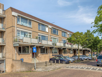 Esdoornstraat 119