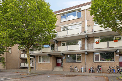 Palmboomstr. 36
