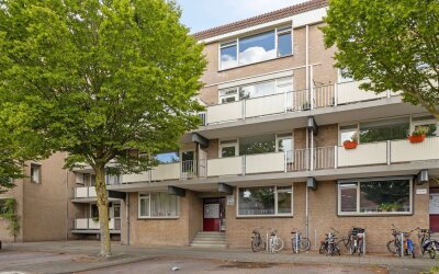 Palmboomstraat 36
