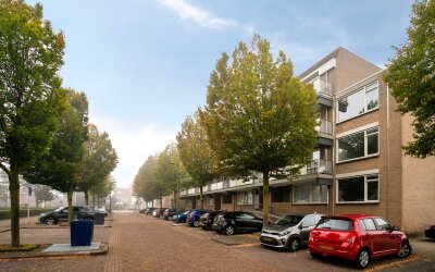 Palmboomstraat 72