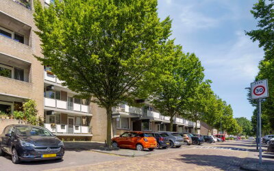 Palmboomstraat 84