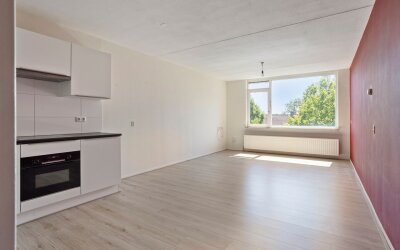 Palmboomstraat 84