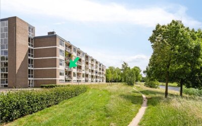 Bowierstraat 55
