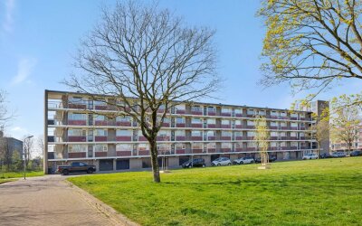 Bowierstraat 71