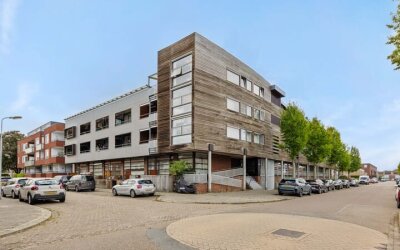 Dommelstraat 165