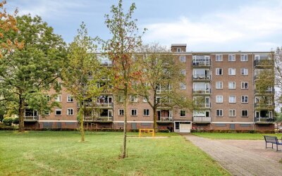 Maassingel 88