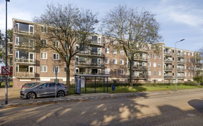 Maassingel 296