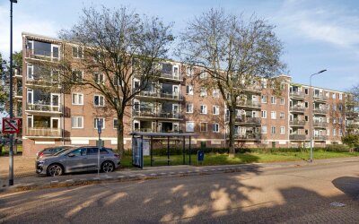 Maassingel 296
