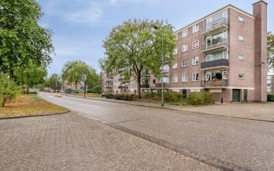 Maassingel 310