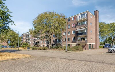 Maassingel 330