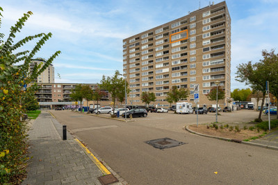 Sweelinckplein 118
