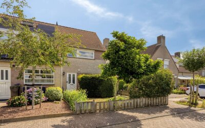 Roerdomp 67