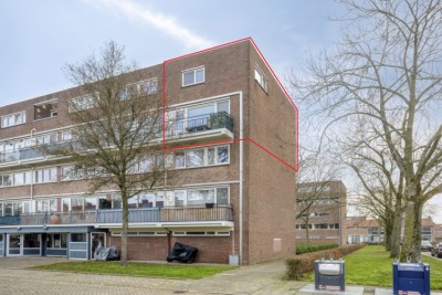 Jacob Cnodestraat 43