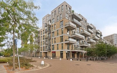 Spiegeltuin 12