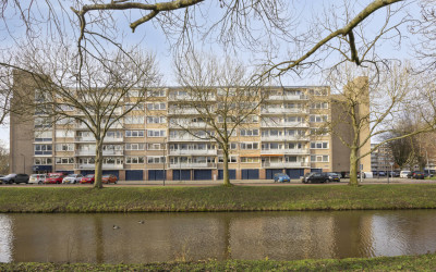 Kruiskampsi. 247
