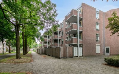 Statenkwart. 148