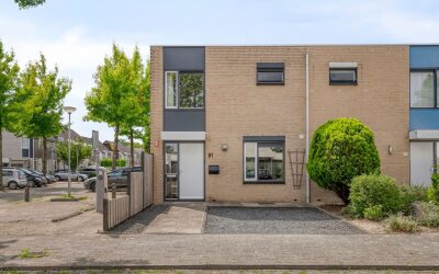 Groen van P. 91