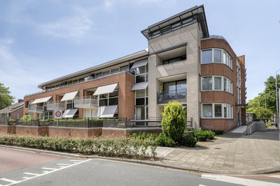 Hintham 49