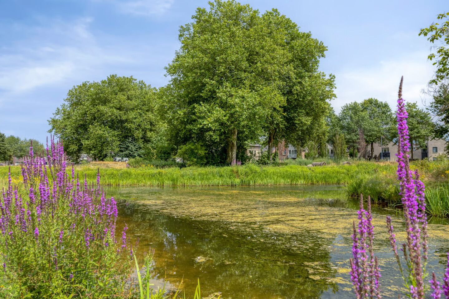 Hoekwoning te koop: Zuster Gertrudosingel 8, Rosmalen