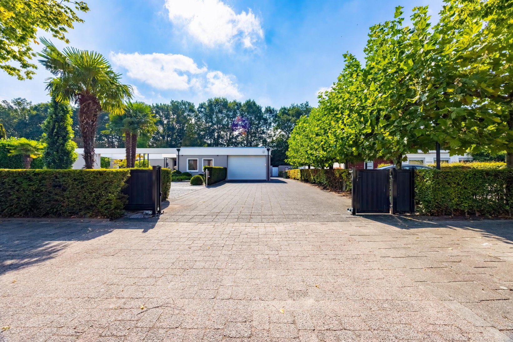 Vrijstaande woning te koop: Pieter Bruegelstraat 8, Vlijmen