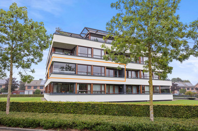 Burgemeester Hoefnagelstraat 12