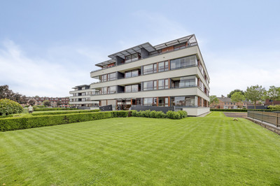 Burgemeester Hoefnagelstraat 52