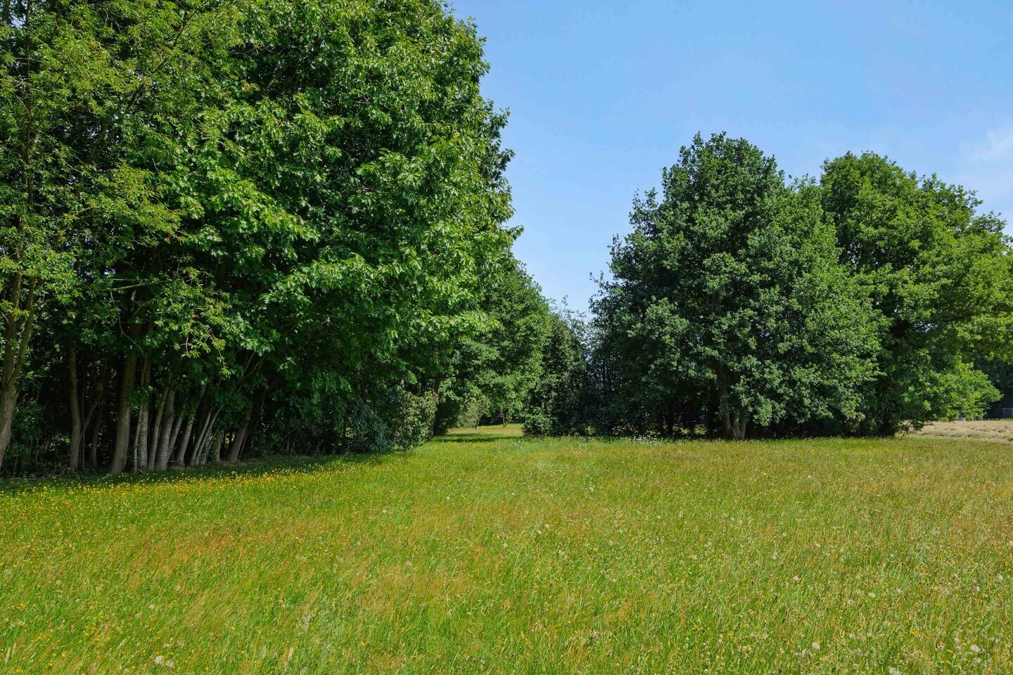 Vrijstaande woning te koop: Hasseltsedijk 36, Berlicum