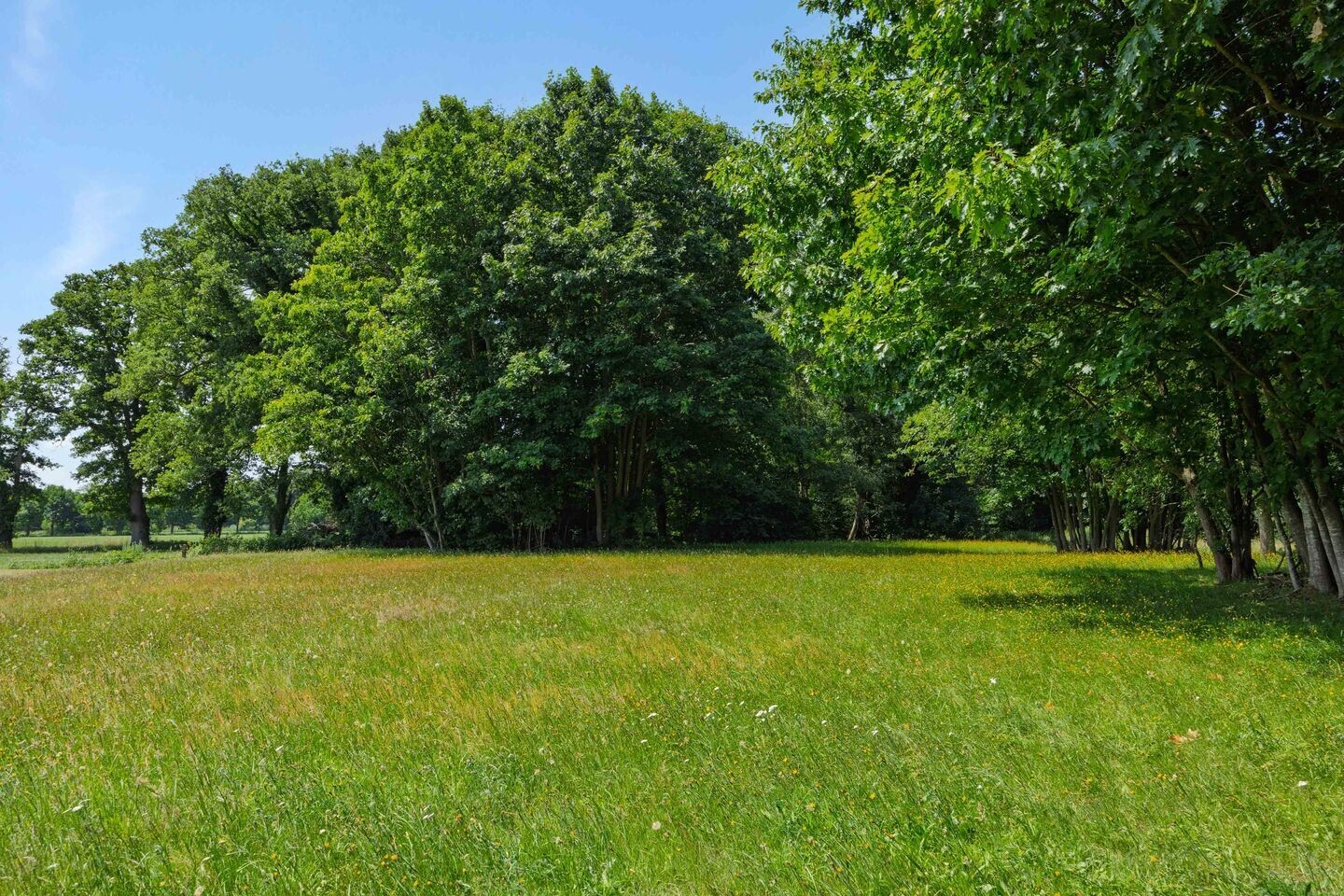 Vrijstaande woning te koop: Hasseltsedijk 36, Berlicum