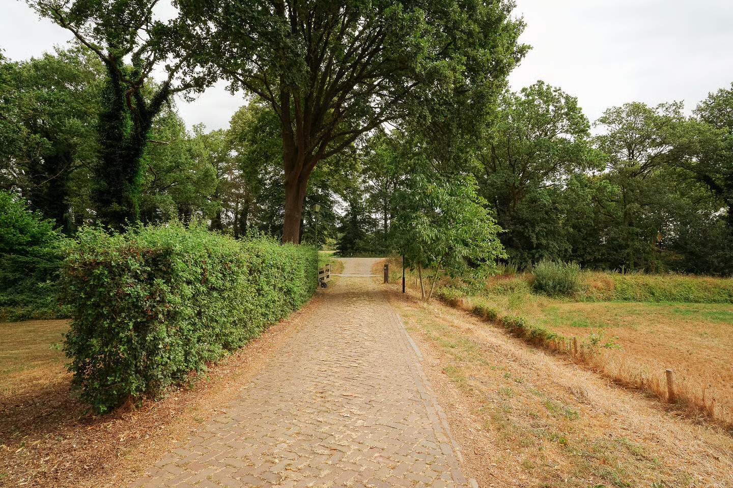 Vrijstaande woning te koop: wamberg 5, Berlicum