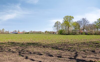 Laar 48