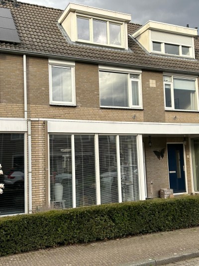 Witte Muntstraat 12
