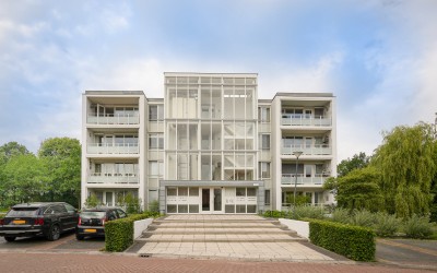 IJsvogel 25