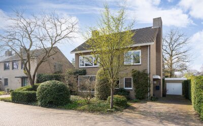 Dachverliesstraat 7