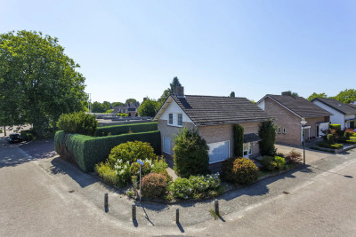 Catharinast. 3