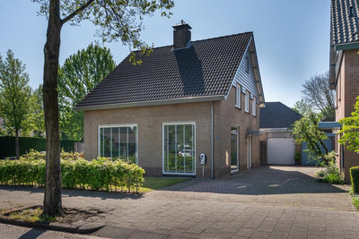 De Geelgors 60