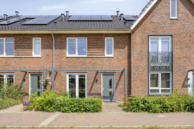 Steenmarter 16