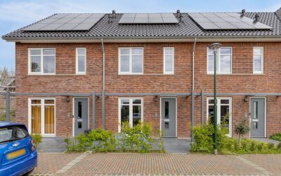Steenmarter 40