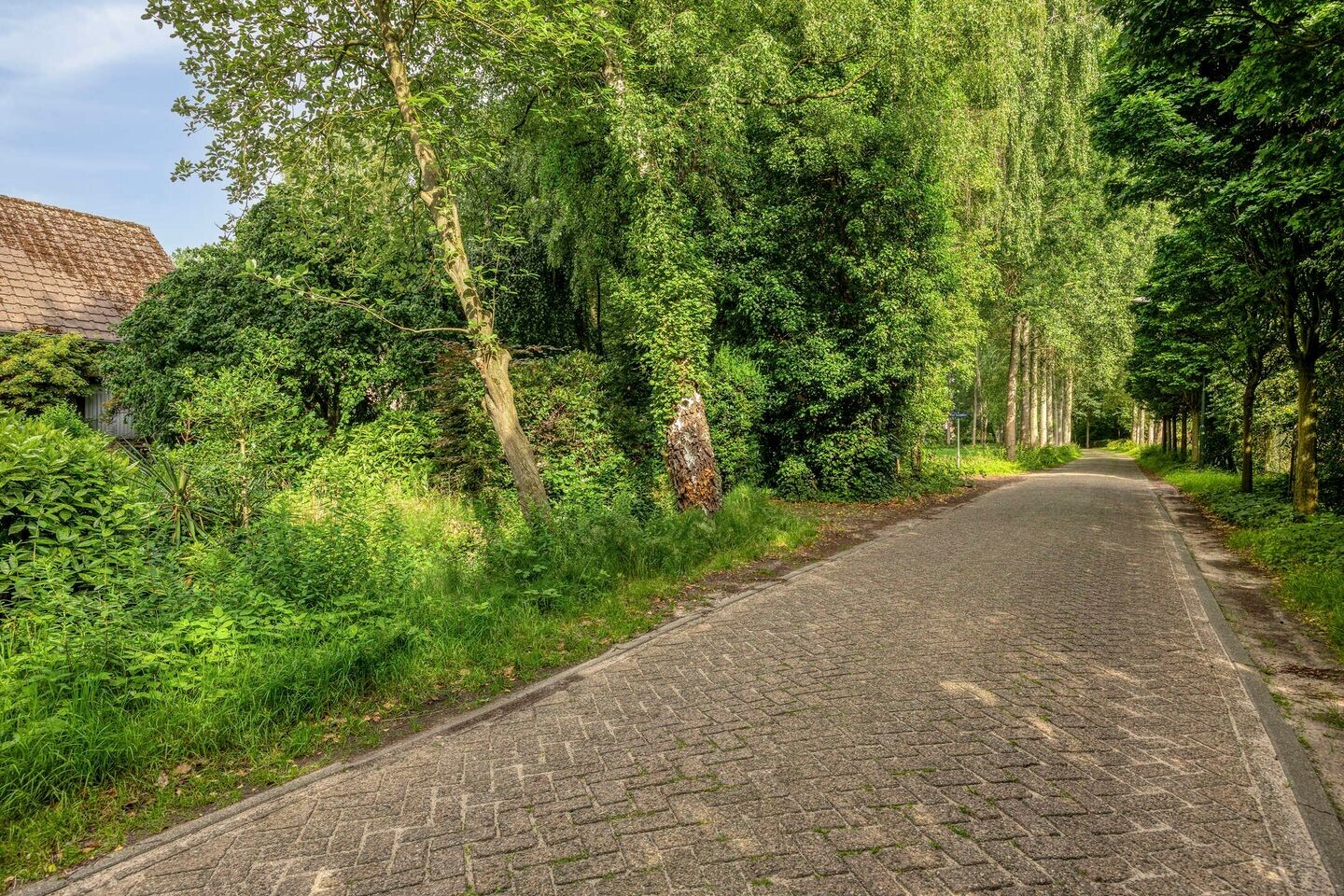Vrijstaande woning te koop: Besselaar 4, Gemonde