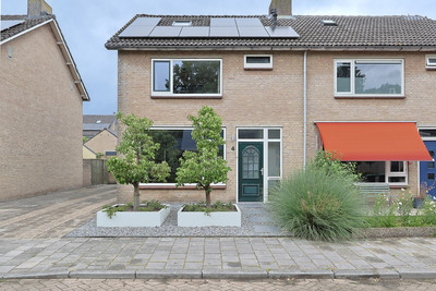De Wilgen 4