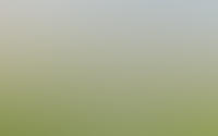 Beersteeg 15
