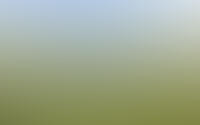 Slotshof 3