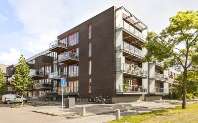 Kamperfoeli. 8-G