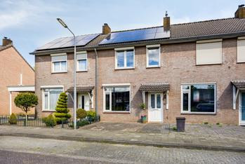 Meerval 49