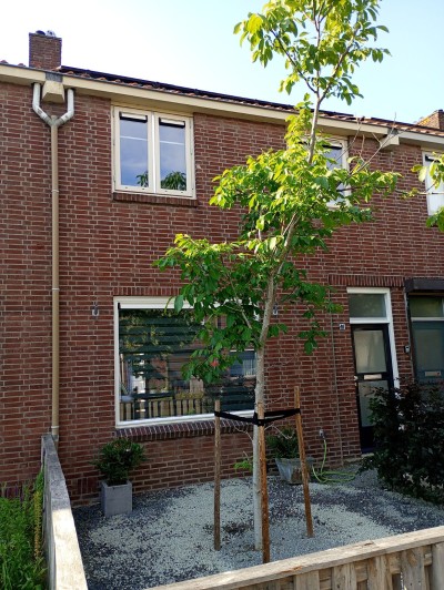 Burgemeester Ploegmakerslaan 61